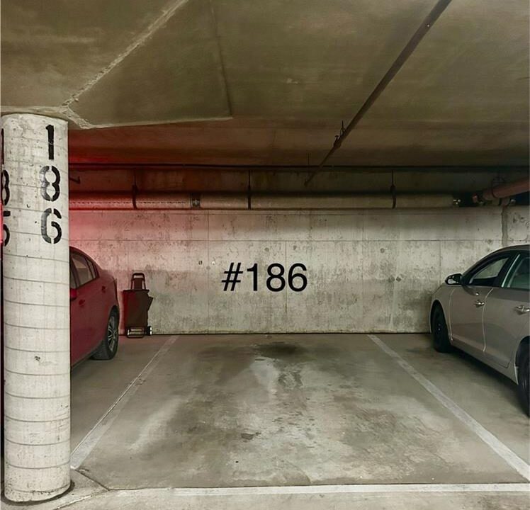 42f69b58f9c26c38047eb3af152f5452-m49.jpeg
