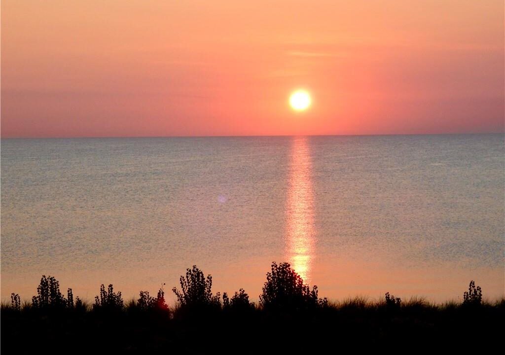 8c4cce15ebb571ff5c5710a5600da1c8-m47.jpeg