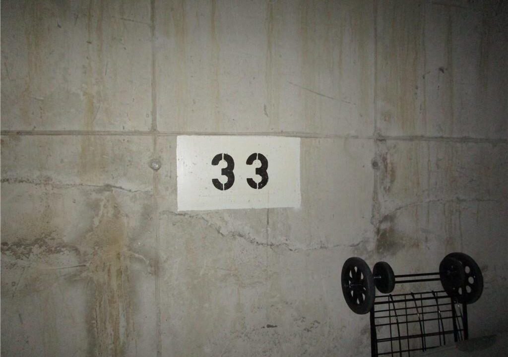 ab4860981790e76c1c98c6f64a96e2d5-m21.jpeg