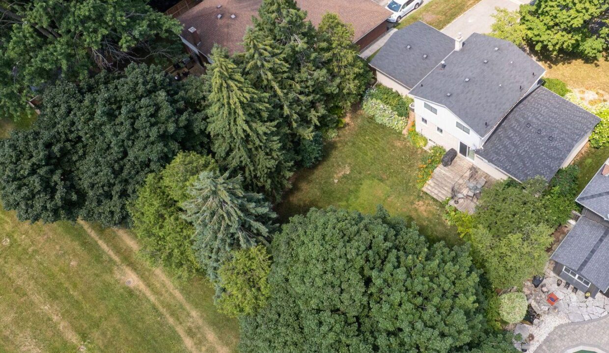 00804749-7e87-41ad-8777-16253aeb6156-l.jpeg