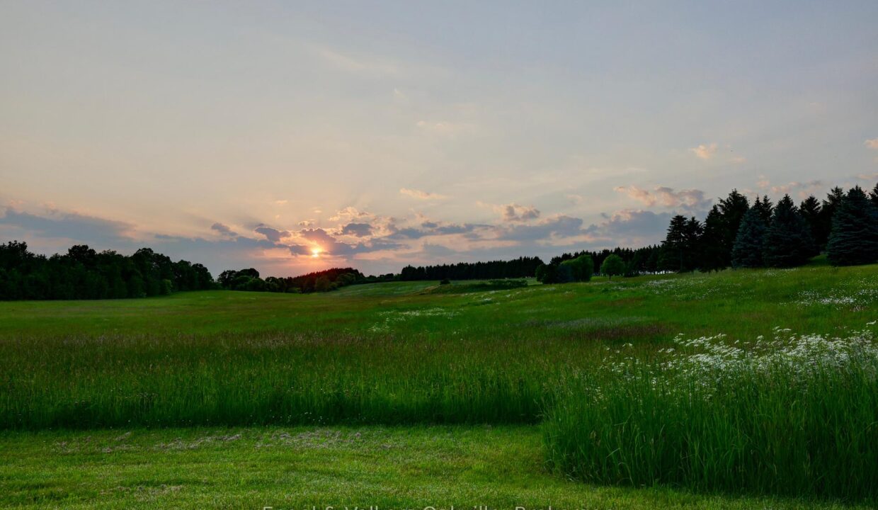 01581a62-ac87-4089-90ac-5f68d2178553-l.jpeg