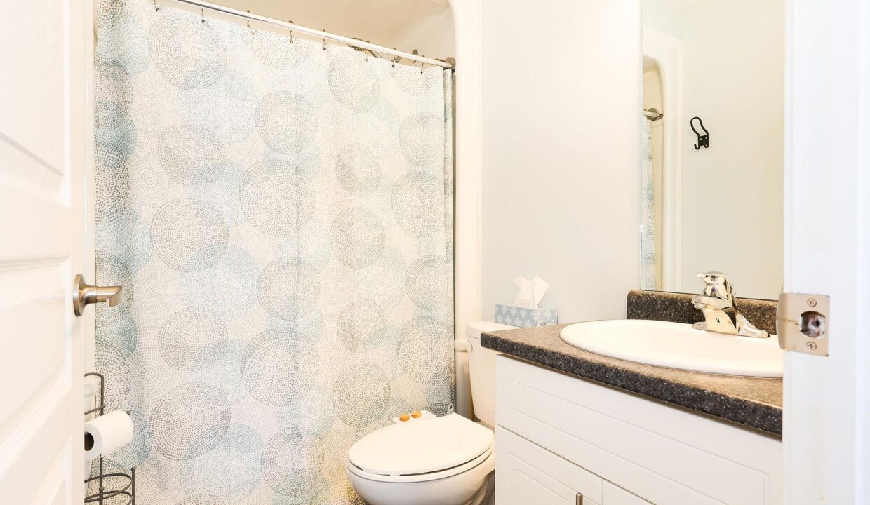 09576481-d384-4383-a8eb-ae86004f0bec-l.jpeg