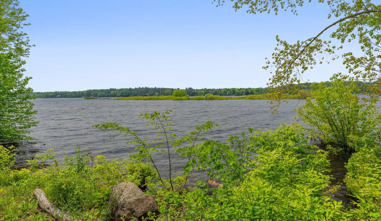 1c8d1900-034d-4e6a-931a-282863e005ab-l.jpeg