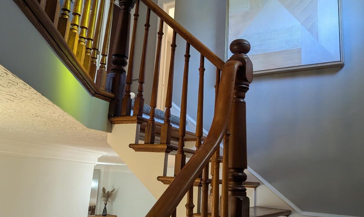 1e21779a-25e6-4dfd-b944-4278e09f8359-l.jpeg