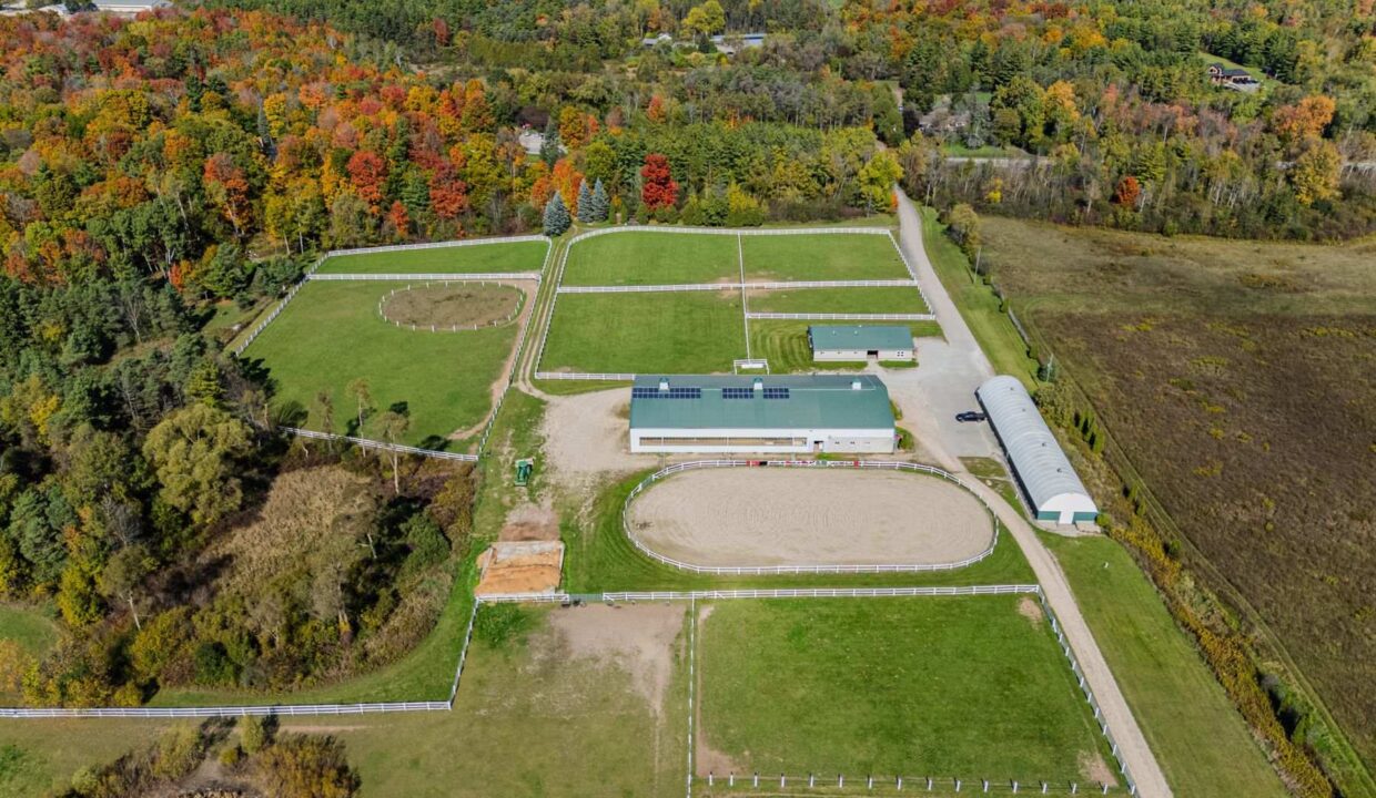 24d2d310-af3f-4adf-a364-2cac73bba061-l.jpeg