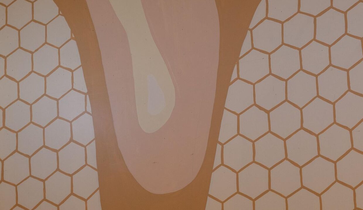 25862d33-6b6b-419b-be4a-97a97297d7db-l.jpeg