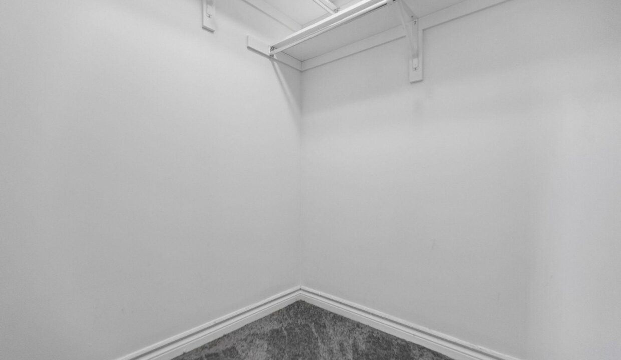 29109c55-b363-464d-81bd-341a5879deef-l.jpeg