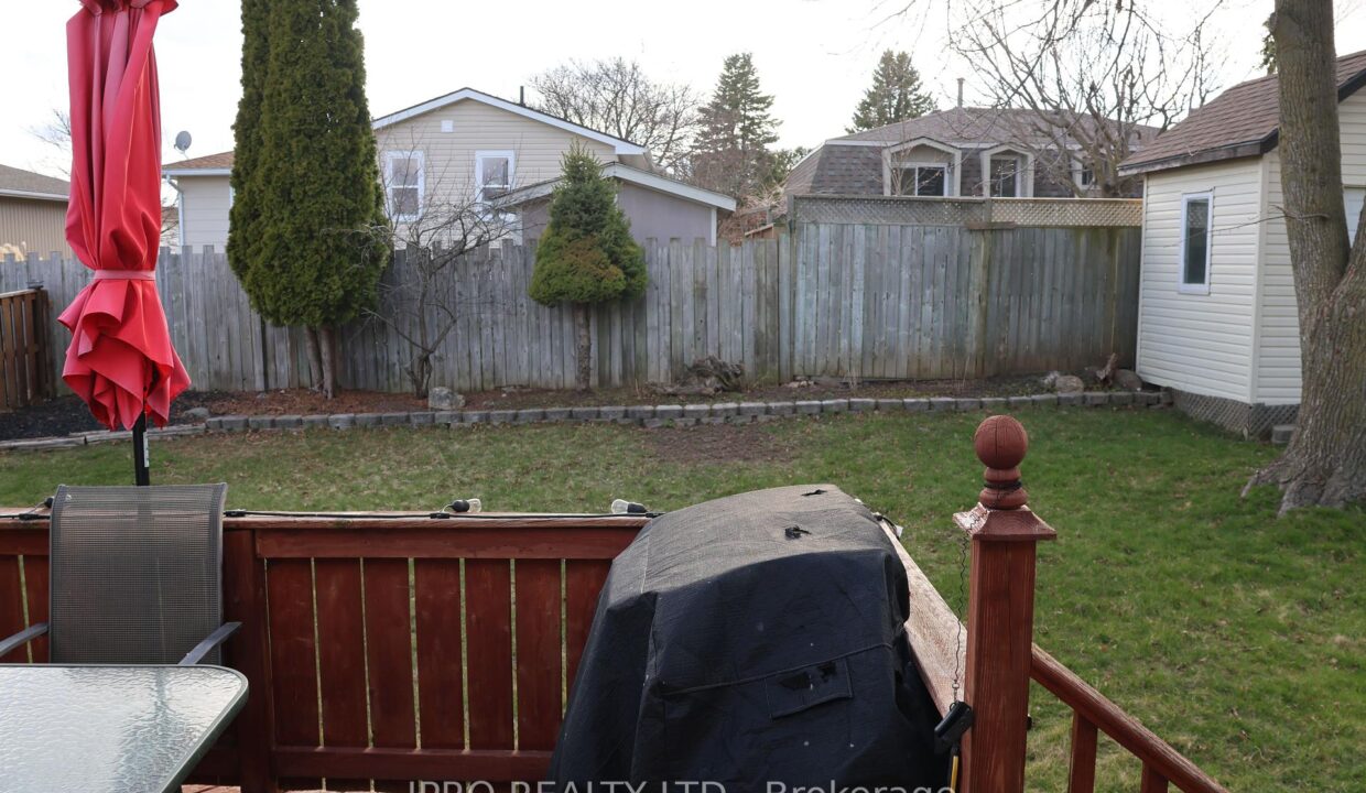 2ee66777-190c-4f0d-ae48-ecfc9a021edf-l.jpeg