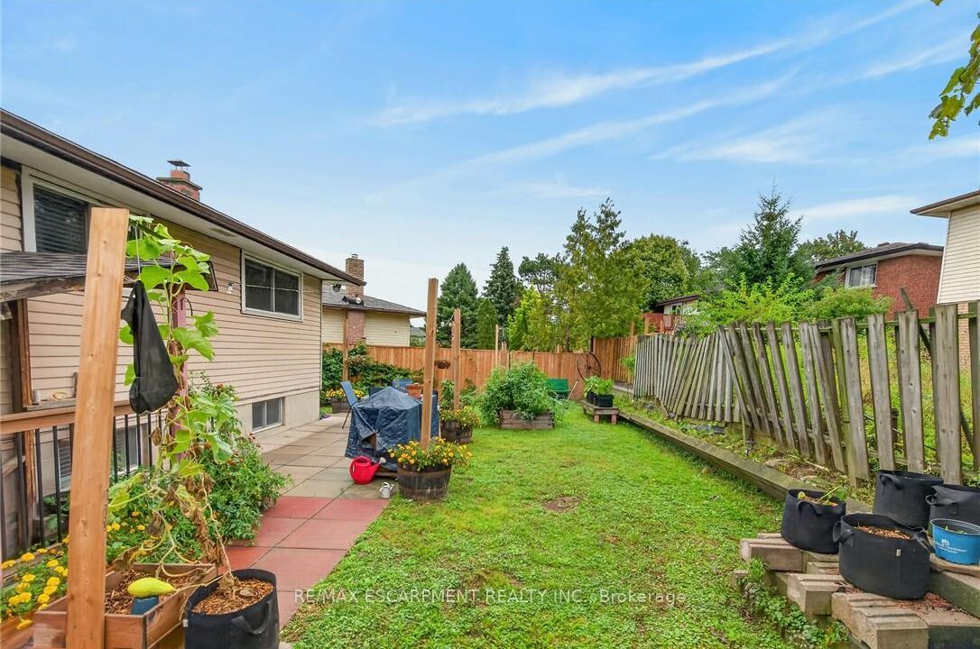 3029c5e5-9b18-4c36-a77a-7aedc40294a0-l.jpeg