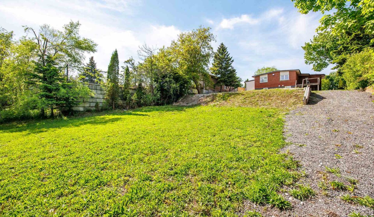 34969bf2-897e-4519-baff-35a6ea53d37a-l.jpeg