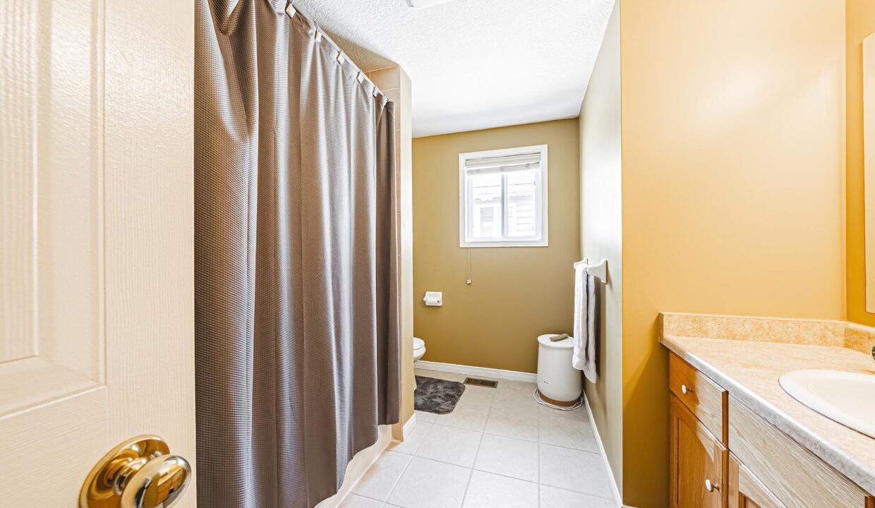 3539fb8a-5714-4cfc-9266-bed28192eabb-l.jpeg