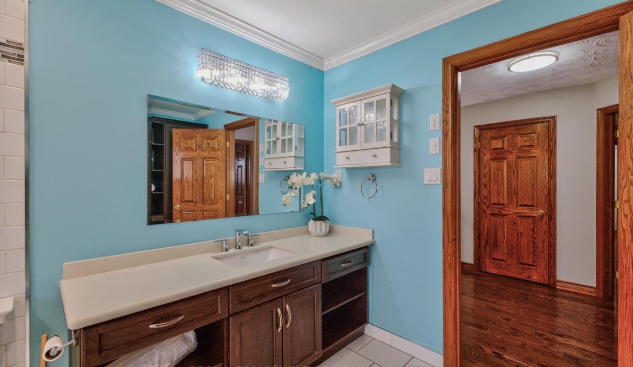 3aa512de-f723-4580-9d03-4cc775ed08cd-l.jpeg
