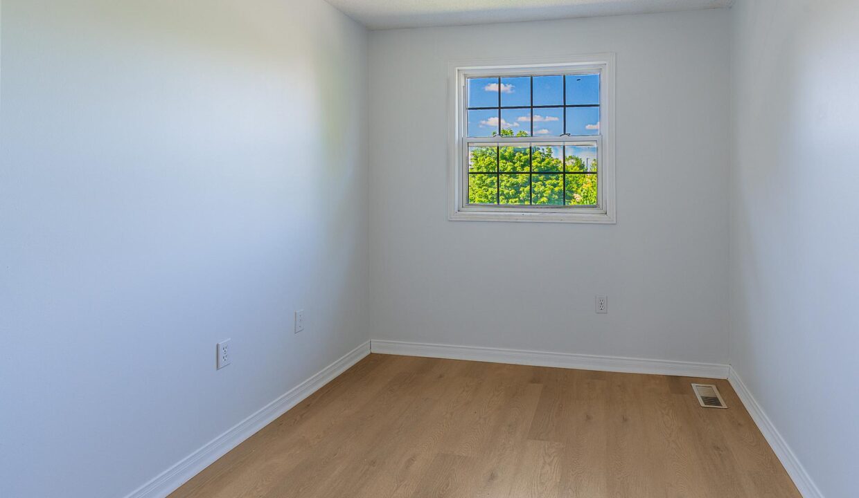 3d0c69b5-7b74-497f-a3cd-6ce547c33c8b-l.jpeg