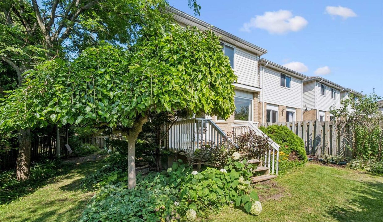 4288c547-3fda-43c6-8df9-fbeea19200ca-l.jpeg