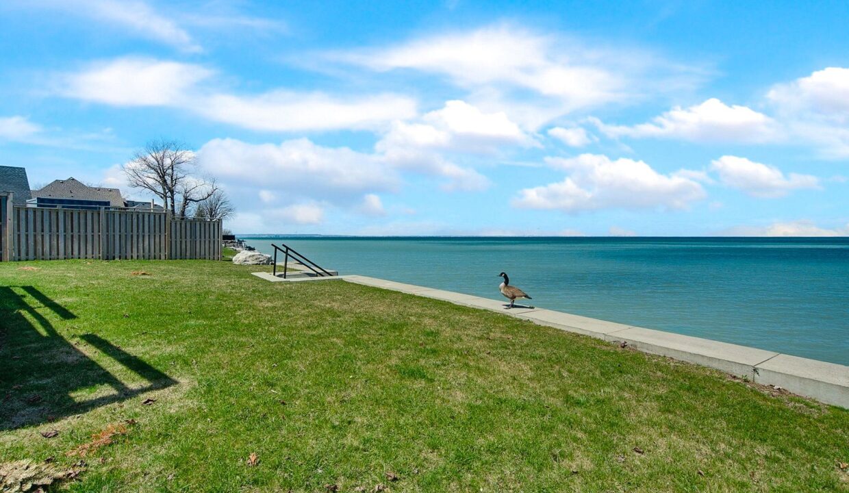 436a2796-4d90-4fc0-a796-ea6b3a7f7075-l.jpeg