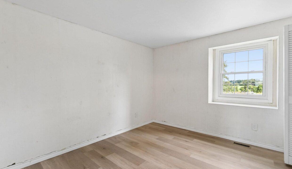 43d1b04a-4f2a-42f0-b21e-f27e831871b8-l.jpeg