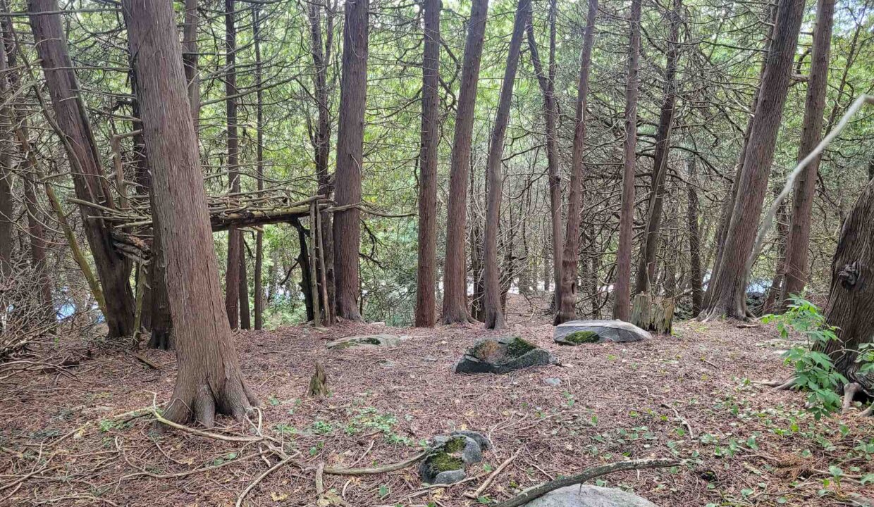 5019317d-0df8-443d-8404-bf0caa5cac88-l.jpeg