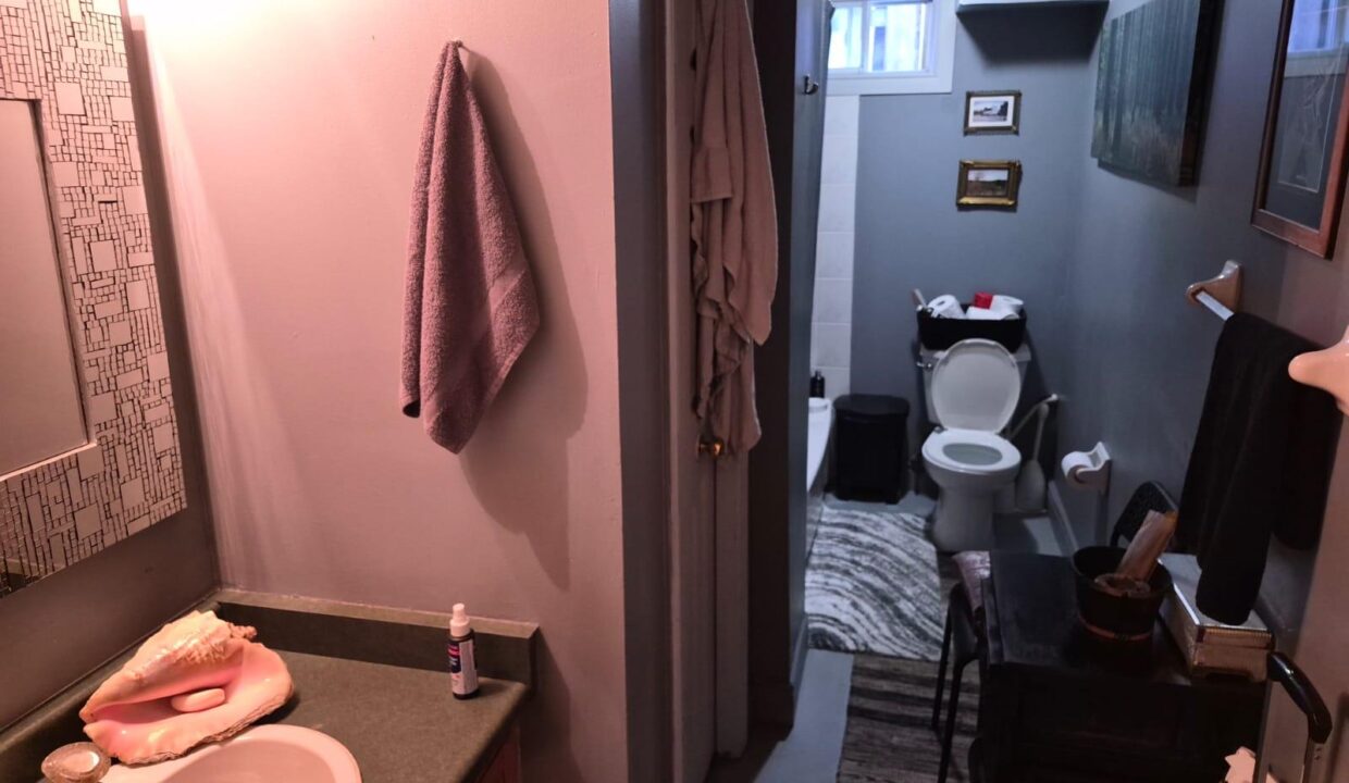 53d4f243-7b56-4aab-9272-ba7a26487e7f-l.jpeg
