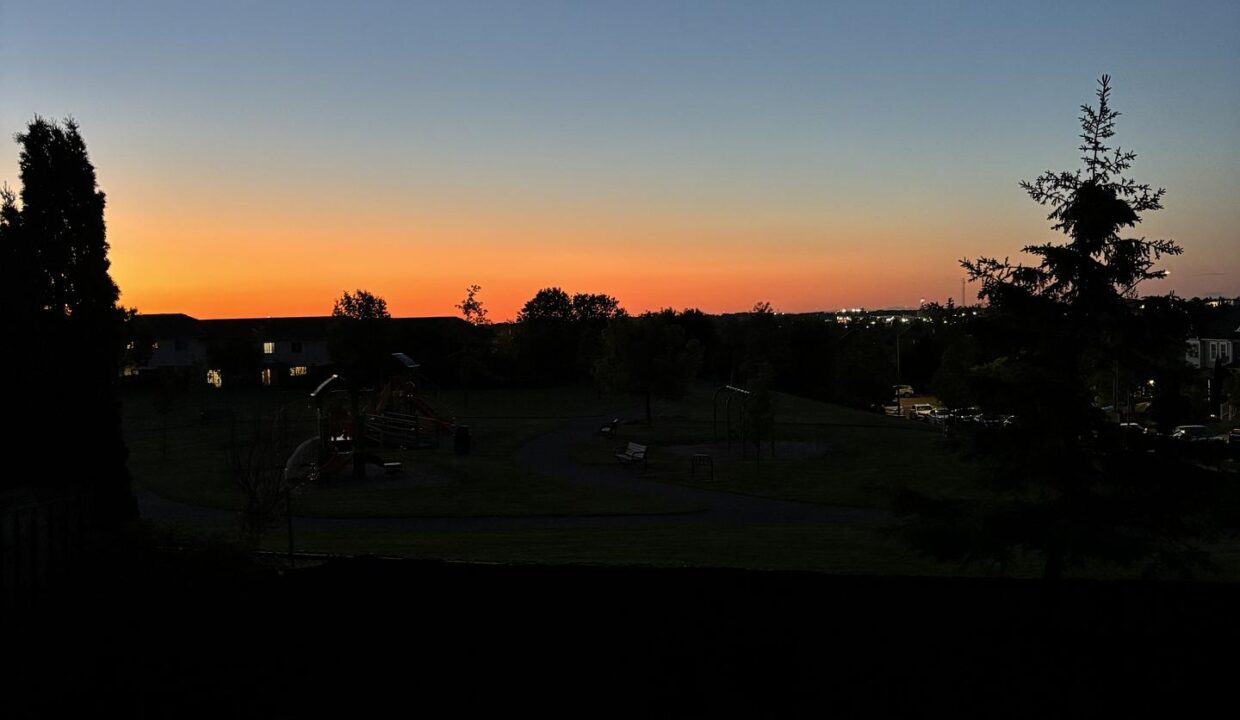 543d7525-8d7f-4570-ad82-5e159134cb19-l.jpeg