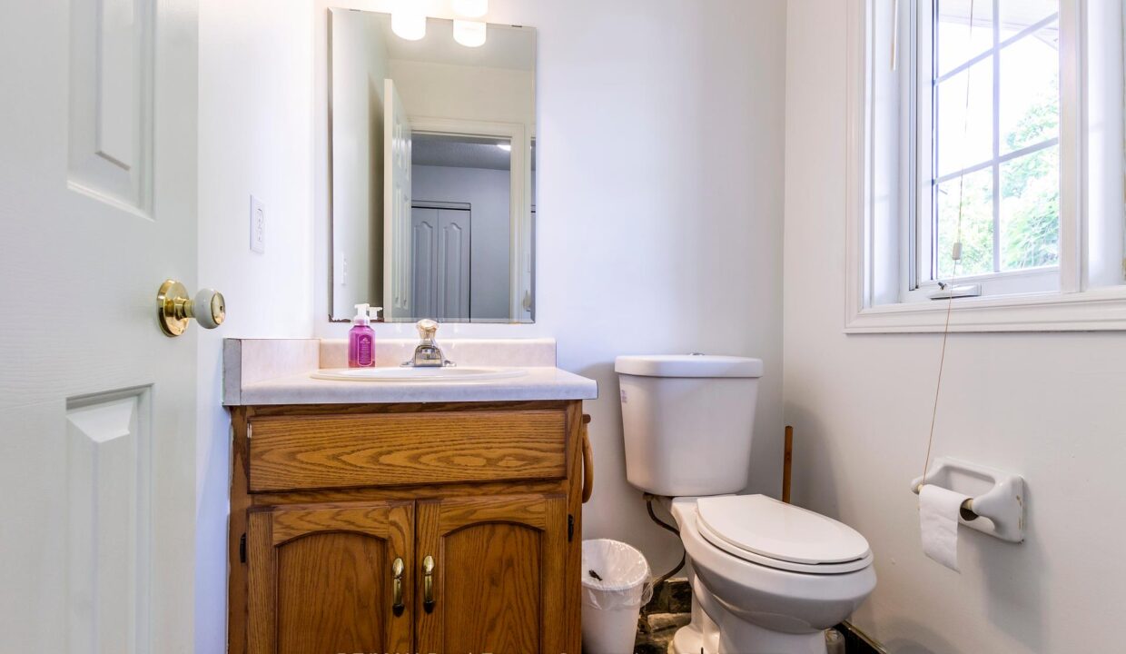 56341149-3e01-4dca-bfa8-7f6498e6106d-l.jpeg