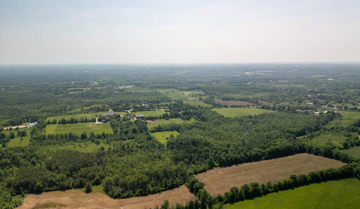 618d5738-1c85-4740-8c59-9a4f0d656566-l.jpeg