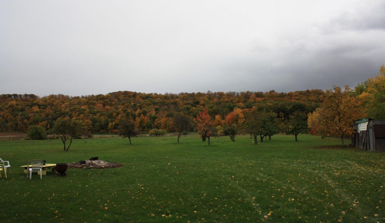 682bf8de-fbf6-47e4-ae0f-5d109fbf82a3-l.jpeg