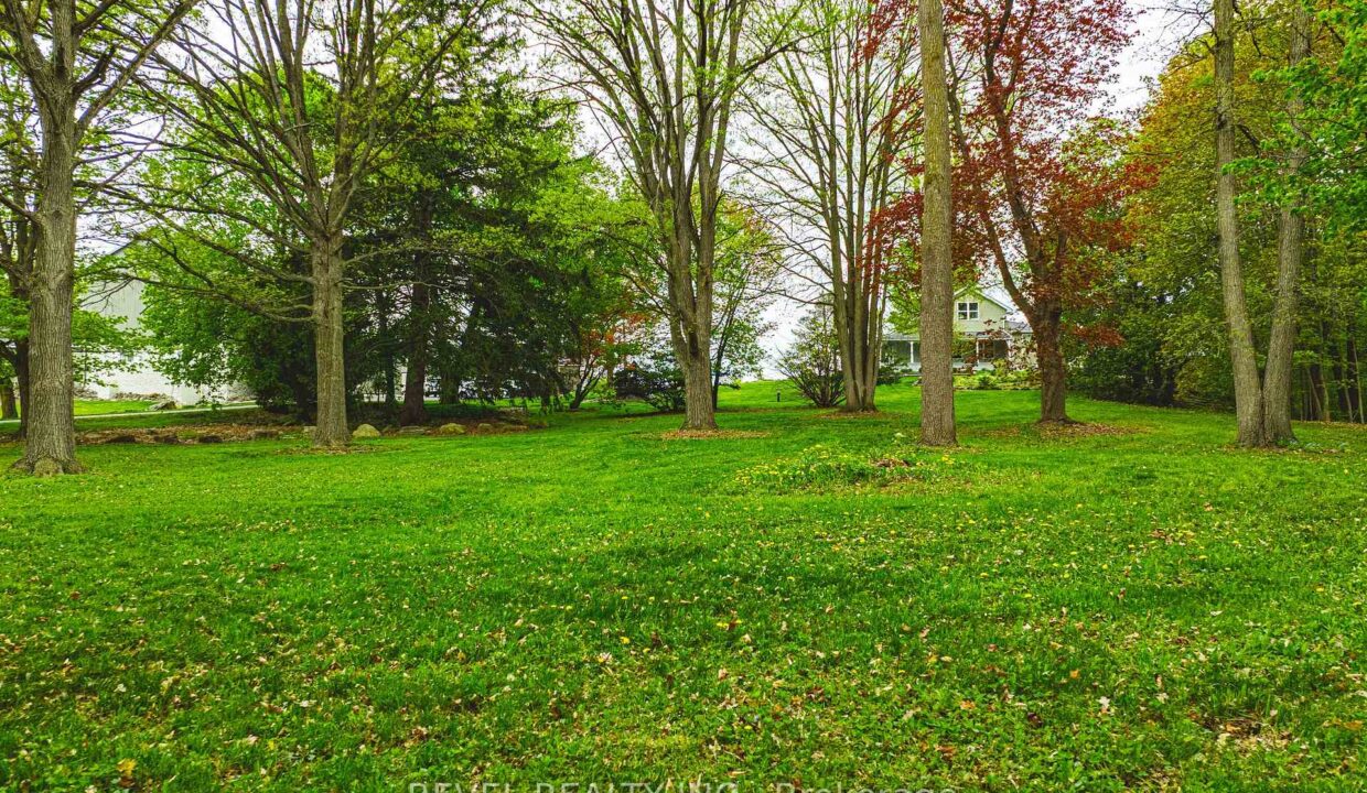 6ec30413-45c5-4e23-834d-68237e3a34be-l.jpeg