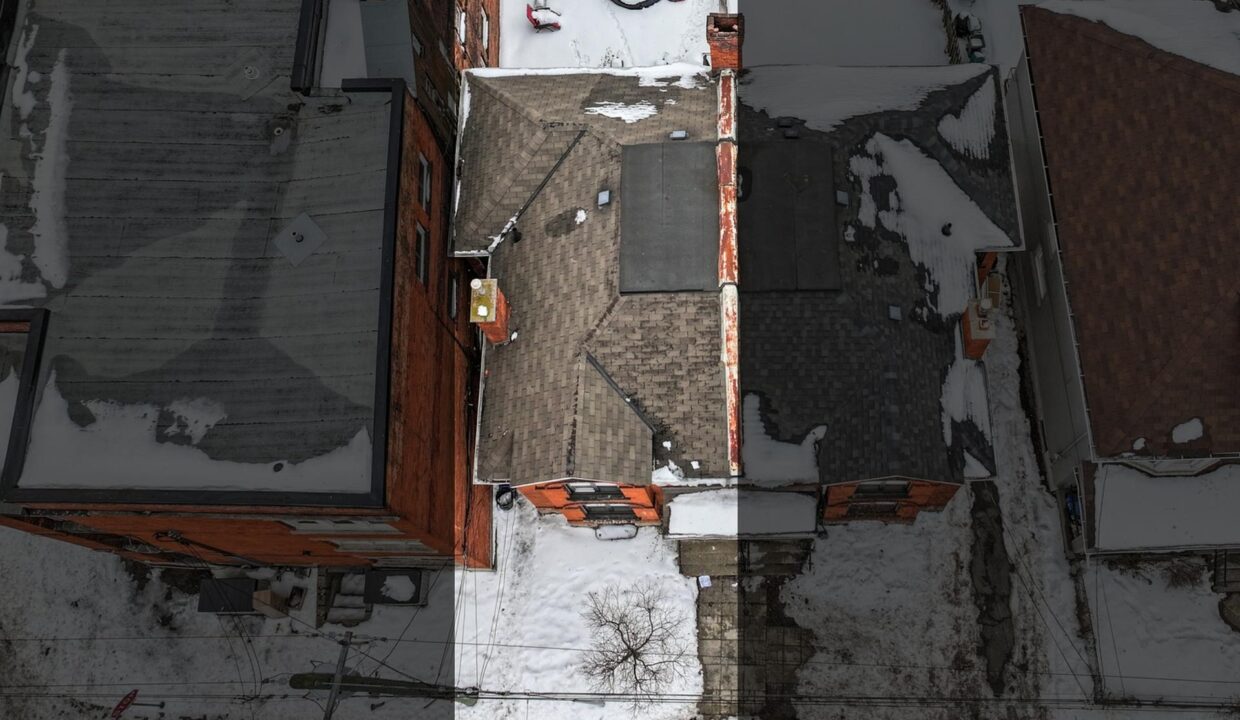 7295c597-5d1e-42f8-800c-5b239d91071b-l.jpeg