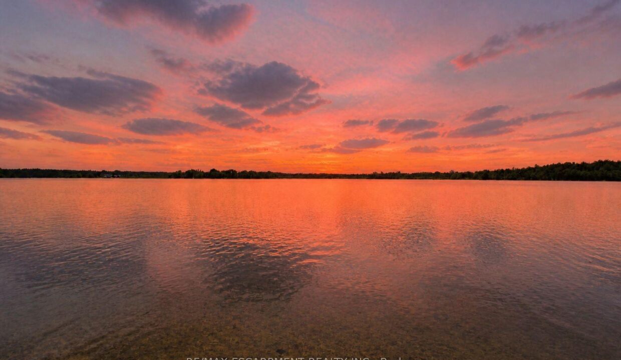7dd5d36b-b44e-408e-98b1-dd4514454ec2-l.jpeg