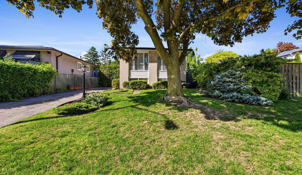 8271c3a2-15b0-4809-9333-abfcd69f7c6a-l.jpeg