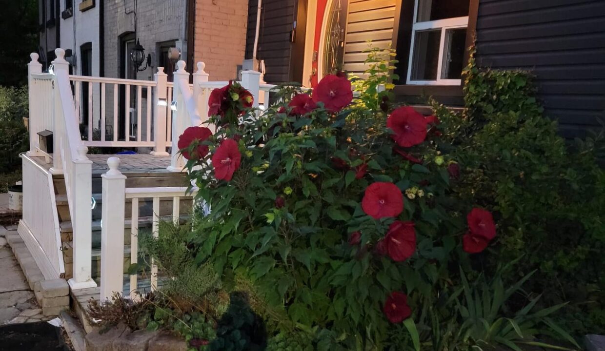 8b0bc75e-9009-46c2-b2fd-304c987f8987-l.jpeg