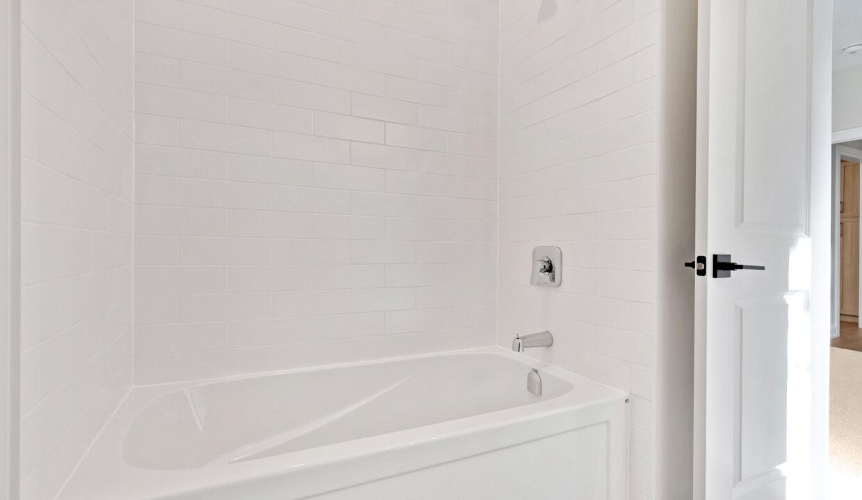 92020ae6-7254-408d-9b3b-388a526101ed-l.jpeg