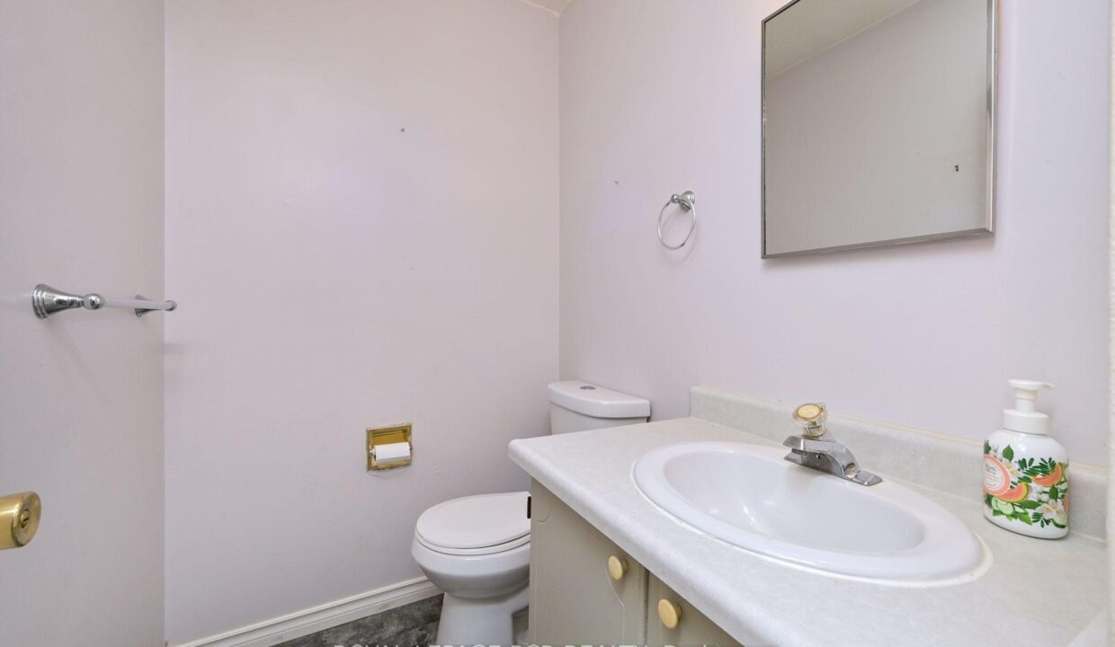 92303f1d-1af8-49ba-8190-08d080ec2071-l.jpeg