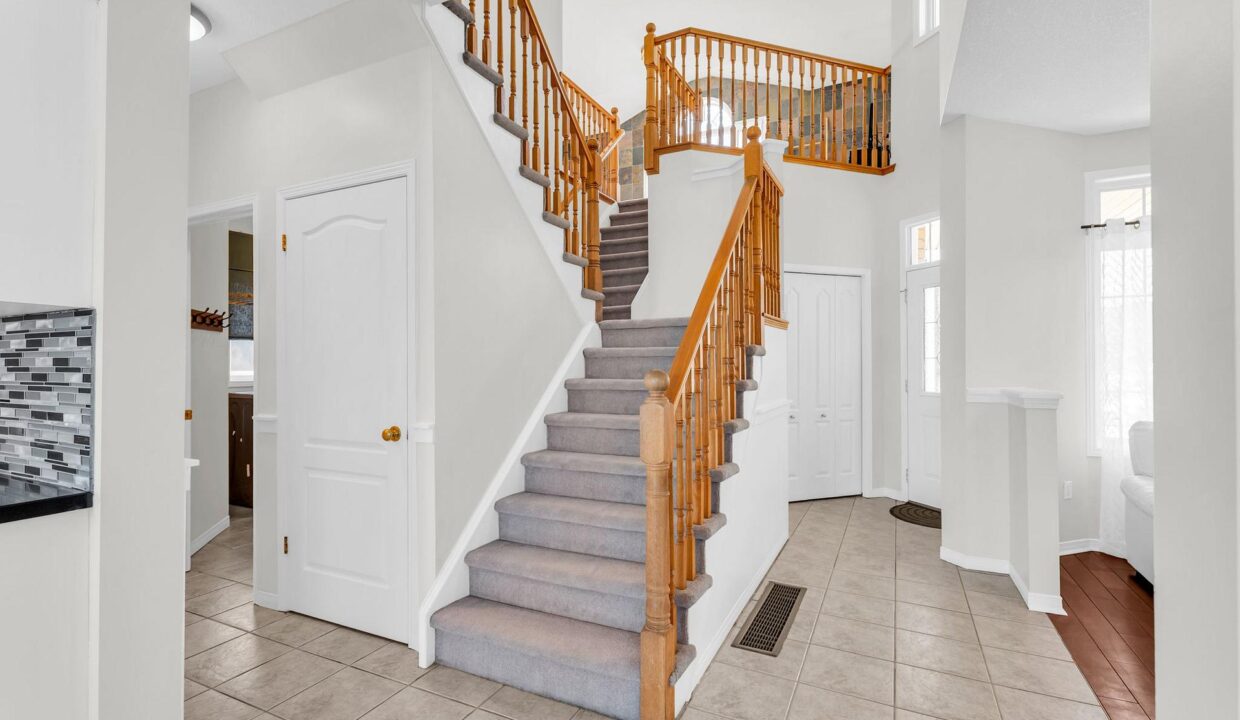 95d55f95-ec38-4fd3-a7d8-af84ada4364c-l.jpeg