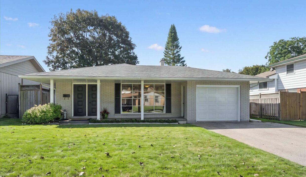 9698f082-ac53-463d-af02-c223bc506ced-l.jpeg