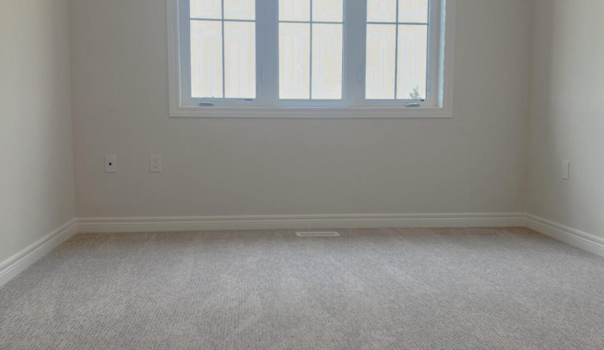 98ecb110-5f1d-43cc-97fd-be737514795d-l.jpeg