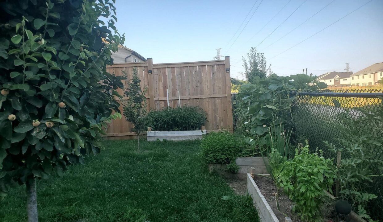 9ea638a5-803e-4d40-8159-ee0921ddf7f1-l.jpeg