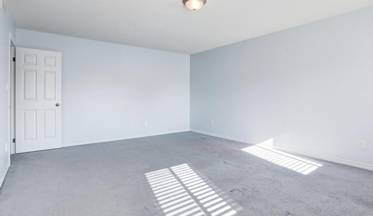 a2599a7c-0320-4753-aab7-4f64eaadd0ad-l.jpeg