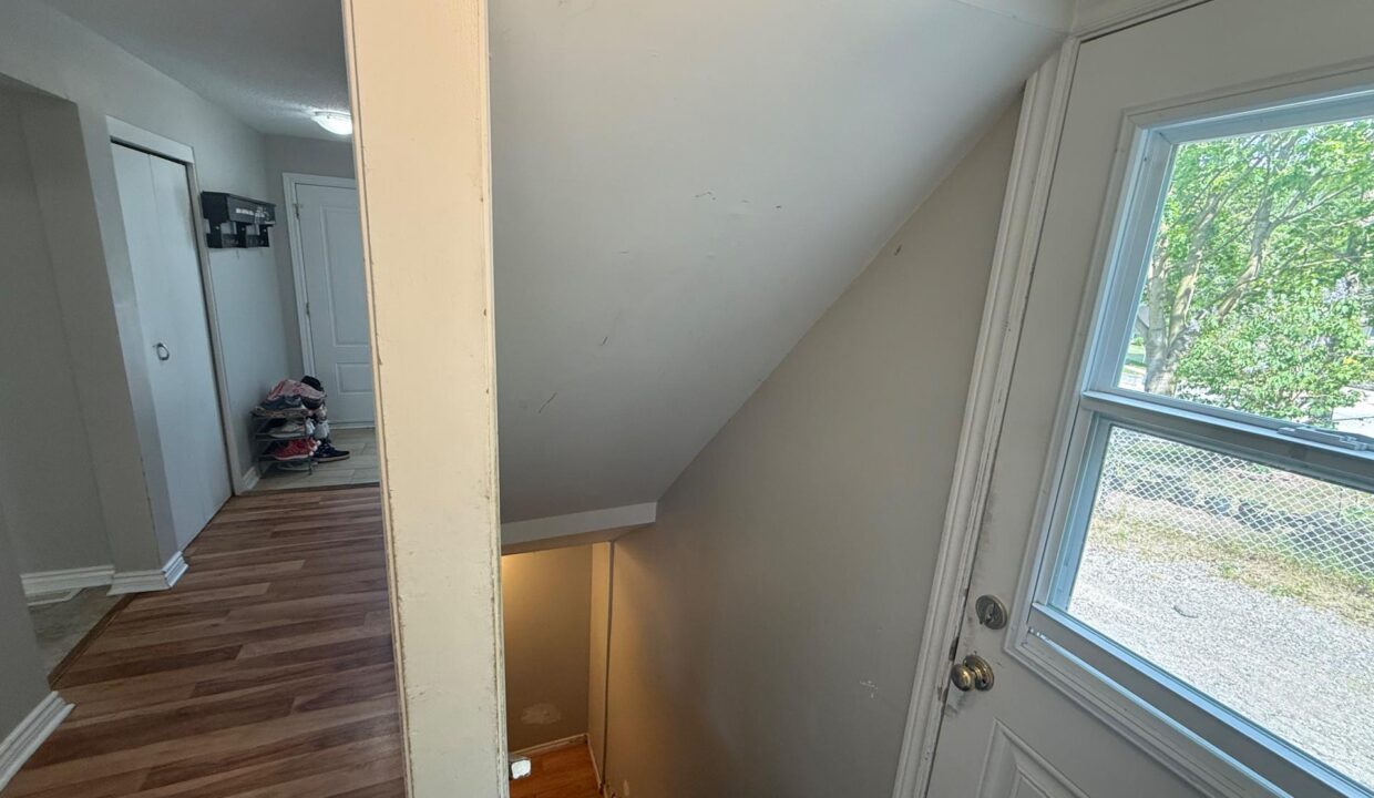 b03320a2-3e27-425b-b87a-c99113fbe5b5-l.jpeg