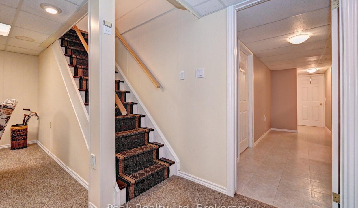 b6b0071b-699d-4c4b-92e7-8c66ffffe48b-l.jpeg