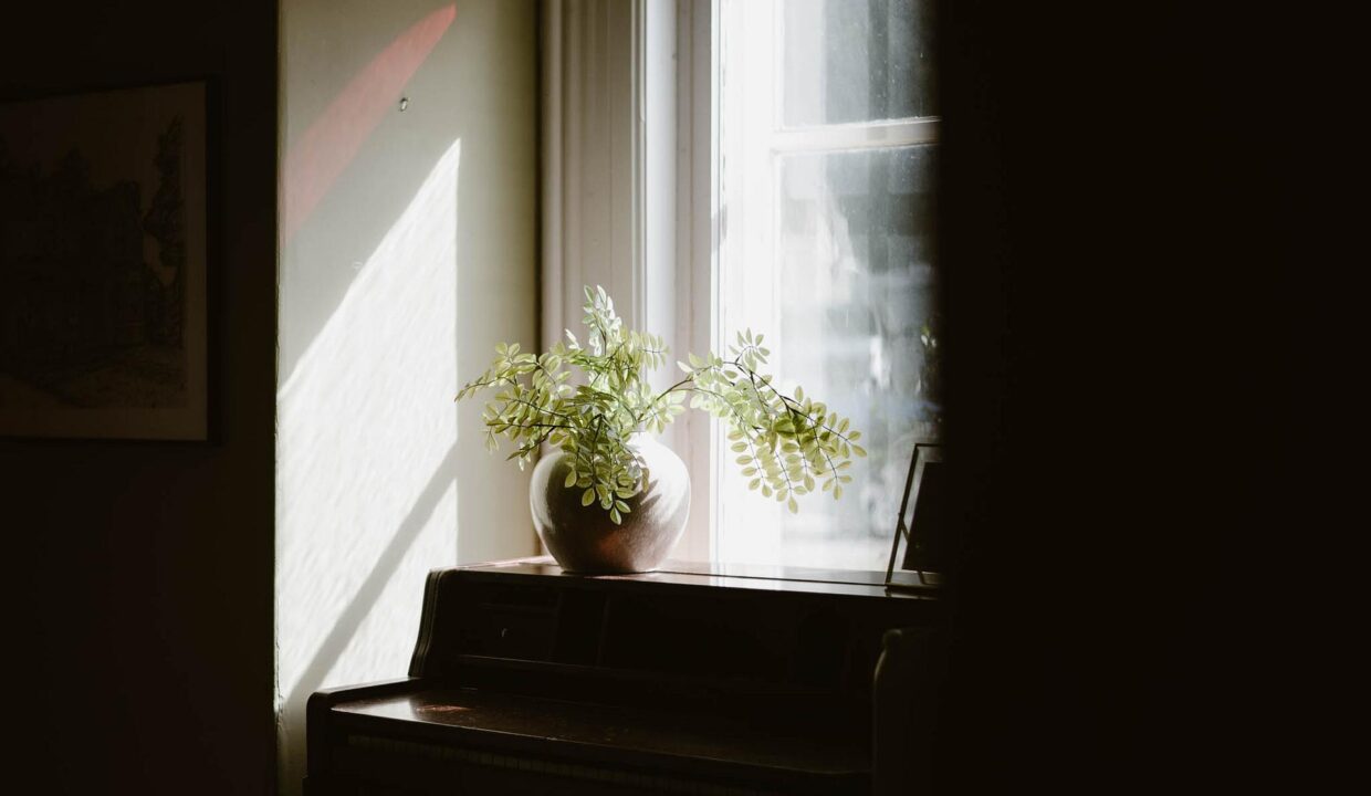 ba57f5c1-c922-4e19-9ece-ec14c86702da-l.jpeg