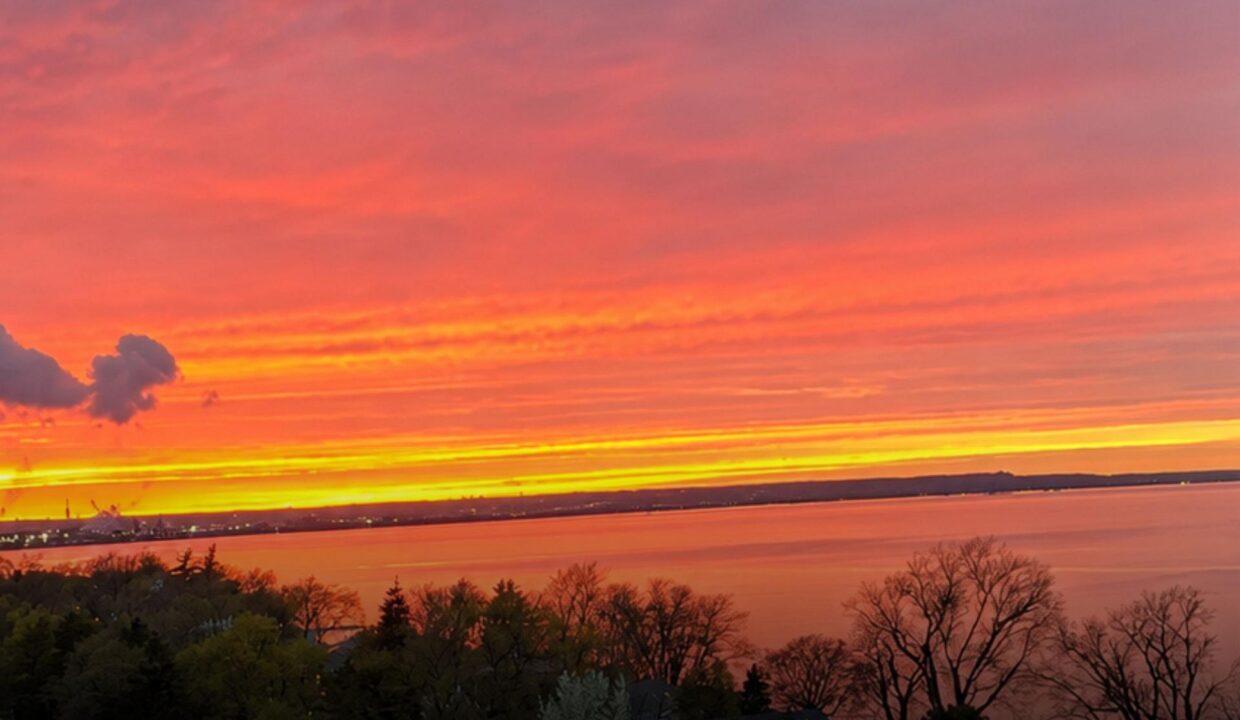 c018121d-0cce-4014-9a22-7319dce943ca-l.jpeg