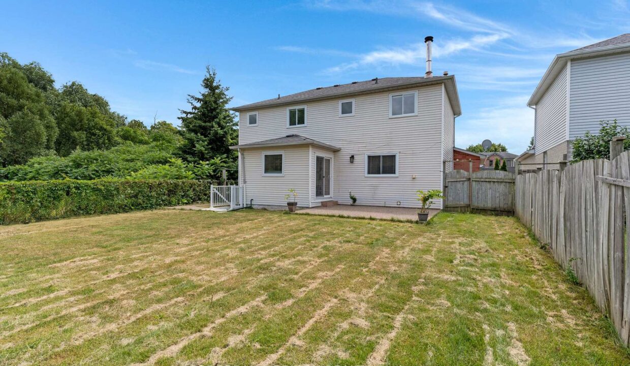 c539ea96-8558-458e-9bef-3955995d4031-l.jpeg