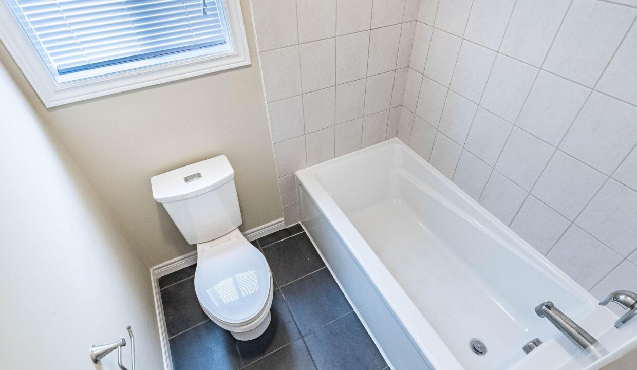 c94005d5-f81f-4e98-baff-3ea412ed9663-l.jpeg