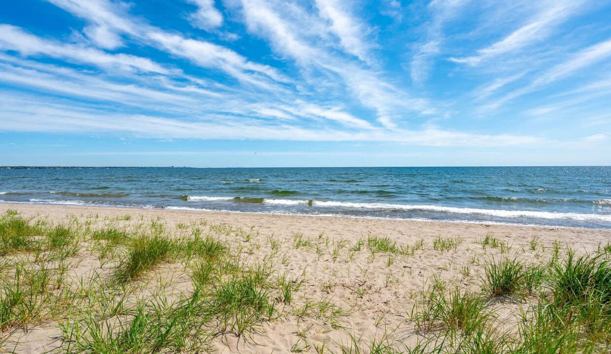 d6ab736e-2077-411b-b7de-4c19595bb7c2-l.jpeg