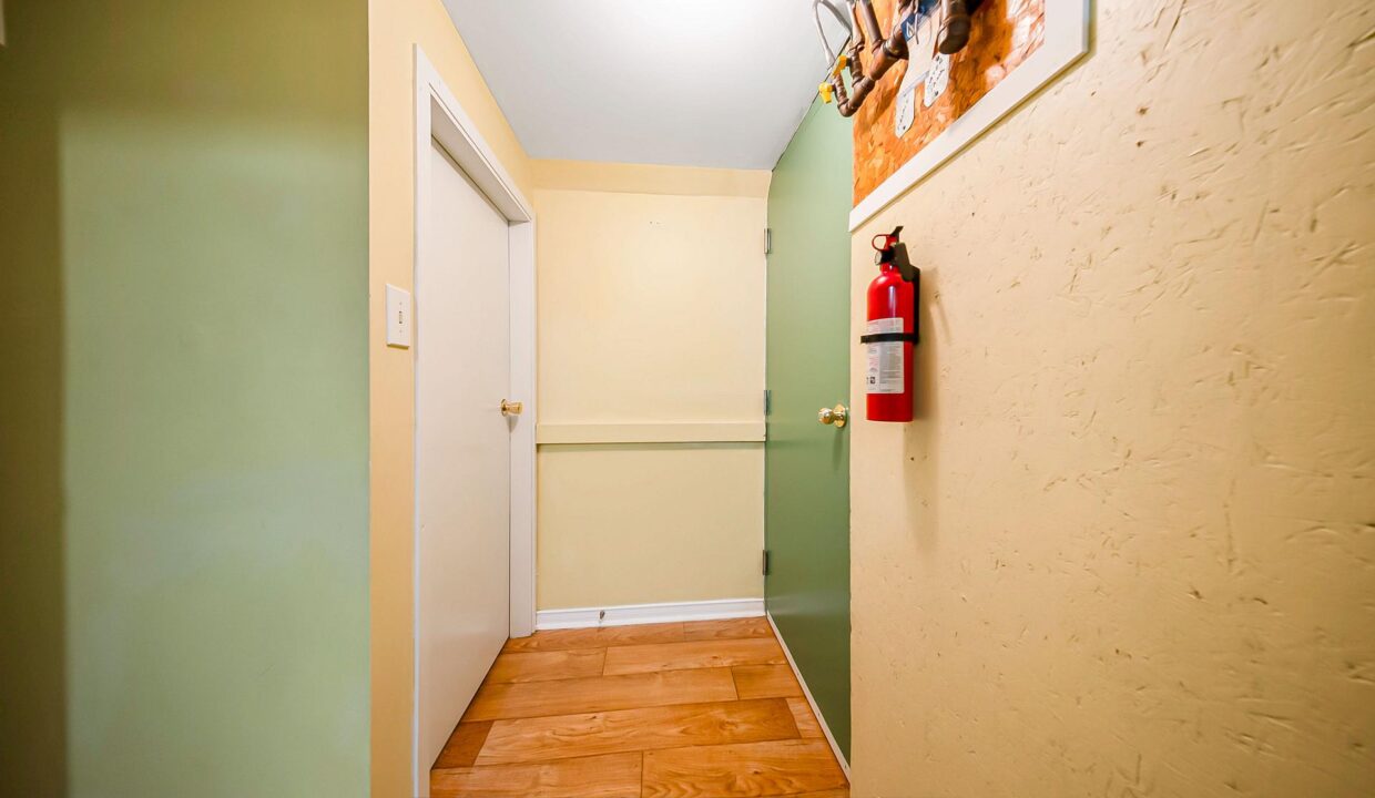 d846ee3d-78f0-4e41-8022-be6e66f49efc-l.jpeg