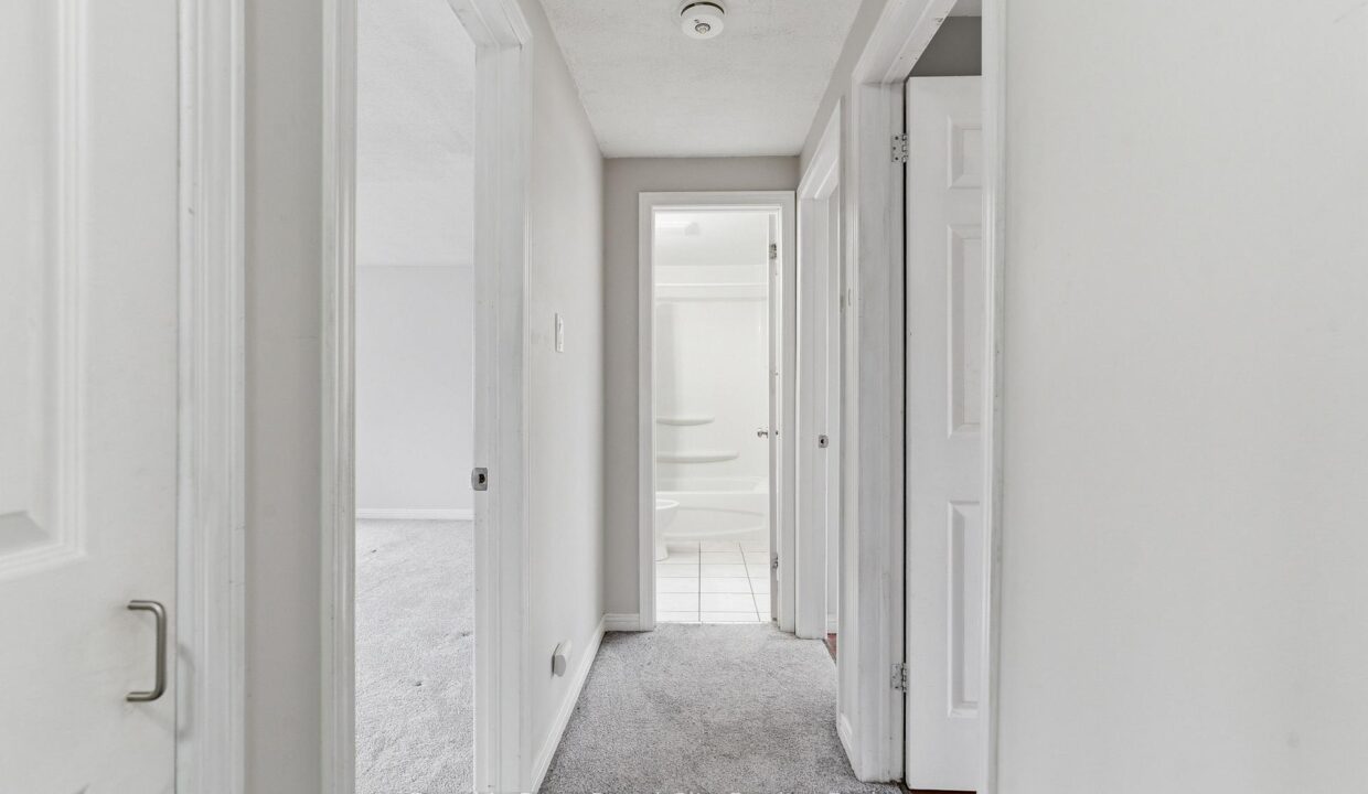 dad03434-0ff9-4a77-8f3f-72365034afbf-l.jpeg