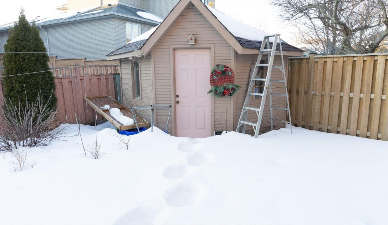 db53cf6e-165e-4221-95a3-10bbd1510870-l.jpeg