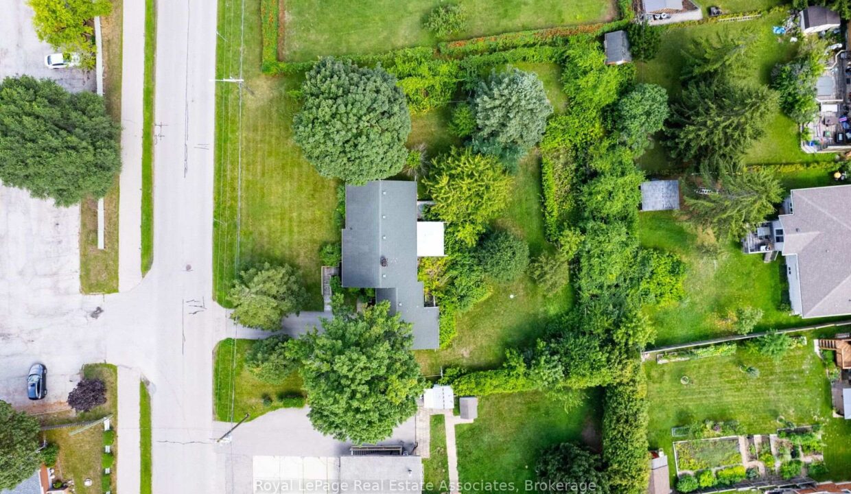 e7990188-a0a6-4d63-99b5-3da73f1e2ca8-l.jpeg