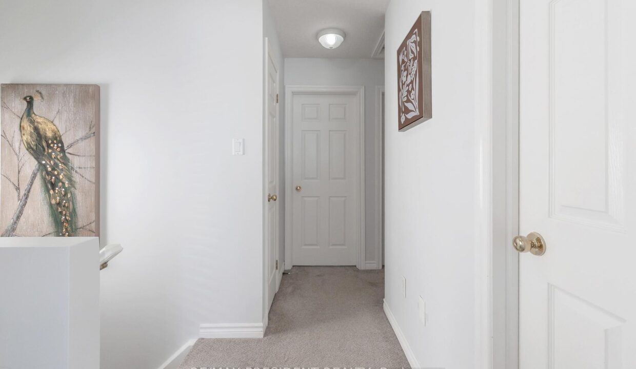 ee289422-45f2-4c9d-b6e4-0956ff6e4963-l.jpeg